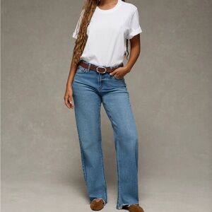 American Eagle Strigid Curvy High-Waisted Stovepipe Jean X Short